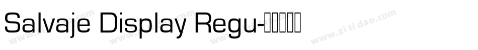 Salvaje Display Regu字体转换